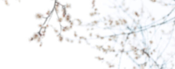 LIST OF THINGS AND ARTISTS I LIKE